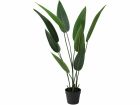 Strelitzia im Topf 110 cm Kunstpflanze